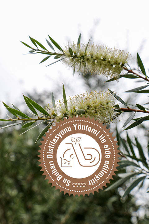 Arifoğlu Çay Ağacı Yağı 10ml %100 Saf ve Doğal Tea Tree