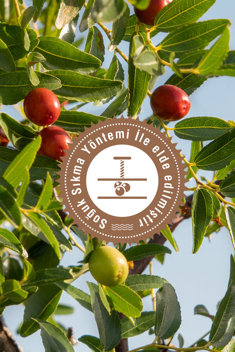 Arifoğlu Jojoba Yağı 100% Saf ve Doğal 20 ml
