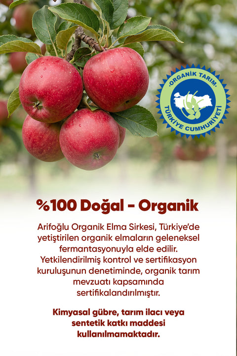 Arifoğlu Organik Elma Sirkesi 500ml - Arifoğlu Online