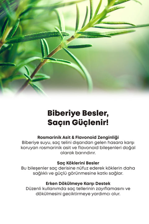Arifoğlu Biberiye Suyu (Hidrosol) Sprey 100 ml - Arifoğlu Online