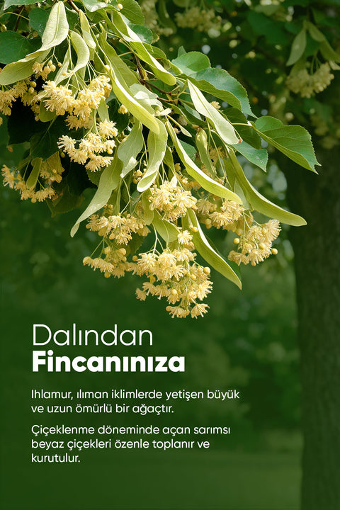 Arifoğlu Ihlamur 40 gr - Arifoğlu Online