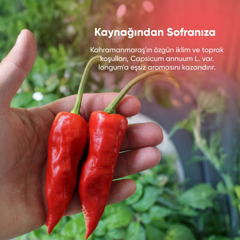 Arifoğlu Maraş İpek Pul Biber Orta Acı 100 gr. - Arifoğlu Online