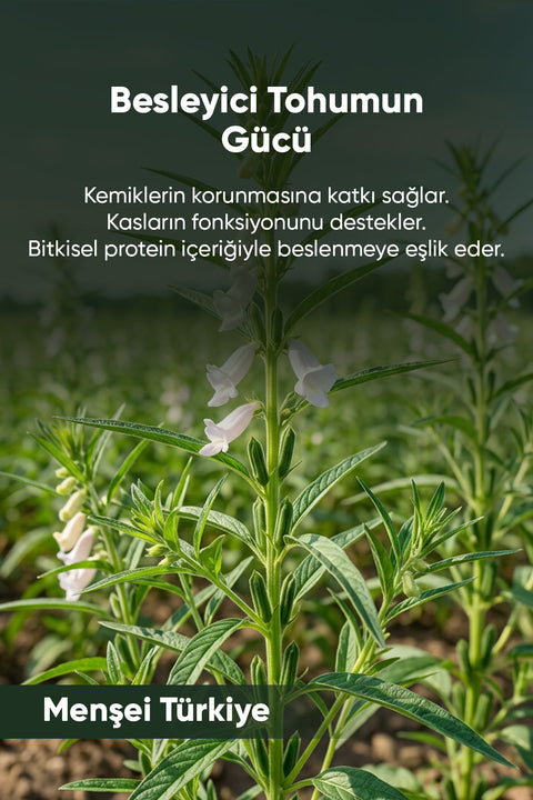Susam Kavrulmuş 120 gr. - Arifoğlu Online