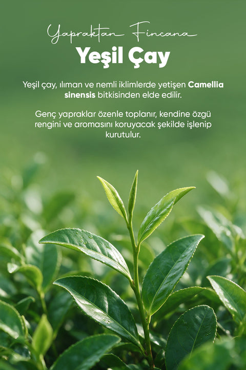 Arifoğlu Yeşil Çay 150gr - Arifoğlu Online